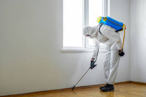 Best Commercial Pest Control Services  in New Knoxville, OH