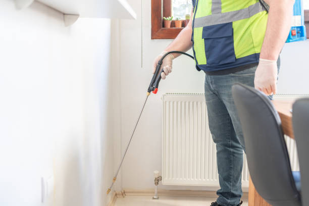 Best Termite Control Services  in New Knoxville, OH