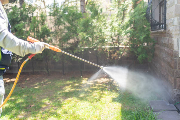 Best Mosquito Control Services  in New Knoxville, OH