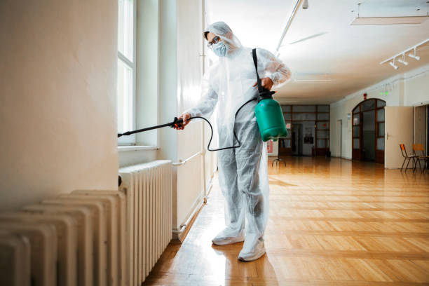 Best Pest Prevention Services  in New Knoxville, OH